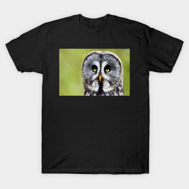 Great Gray Owl T-Shirt by richard49